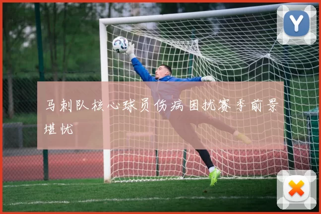 马刺队核心球员伤病困扰赛季前景堪忧