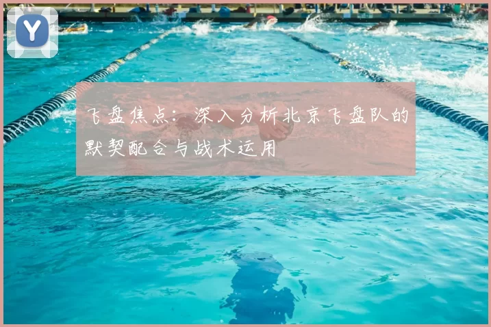 飞盘焦点：深入分析北京飞盘队的默契配合与战术运用