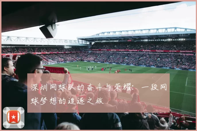 深圳网球队的奋斗与荣耀：一段网球梦想的追逐之旅