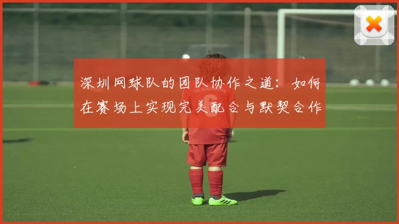 深圳网球队的团队协作之道：如何在赛场上实现完美配合与默契合作
