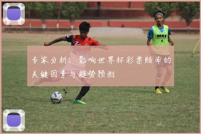 专家分析：影响世界杯彩票赔率的关键因素与趋势预测