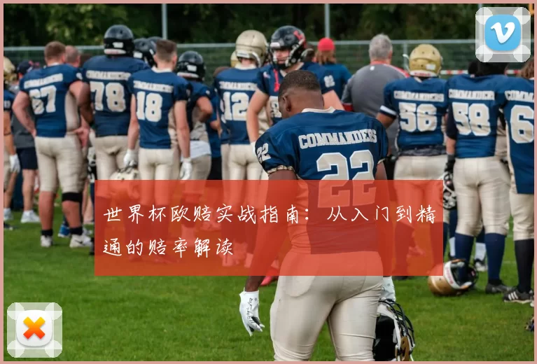 世界杯欧赔实战指南：从入门到精通的赔率解读