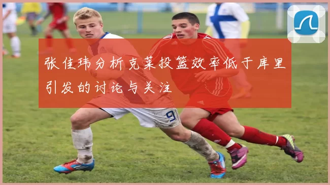 张佳玮分析克莱投篮效率低于库里引发的讨论与关注