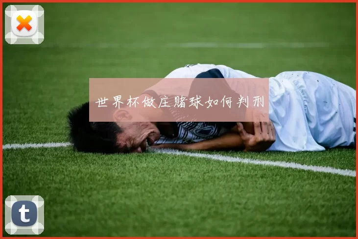世界杯做庄赌球如何判刑