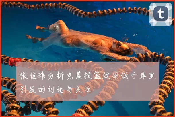 张佳玮分析克莱投篮效率低于库里引发的讨论与关注