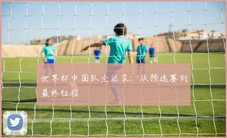 世界杯中国队全记录：从预选赛到最终征程