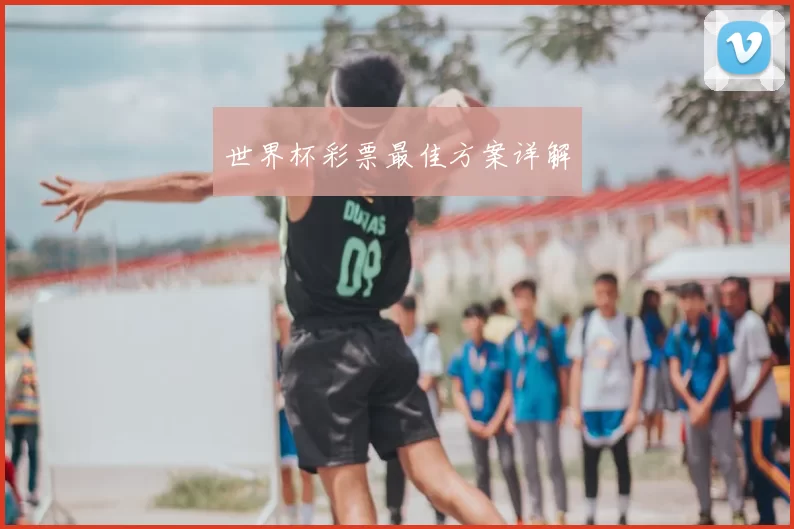 世界杯彩票最佳方案详解