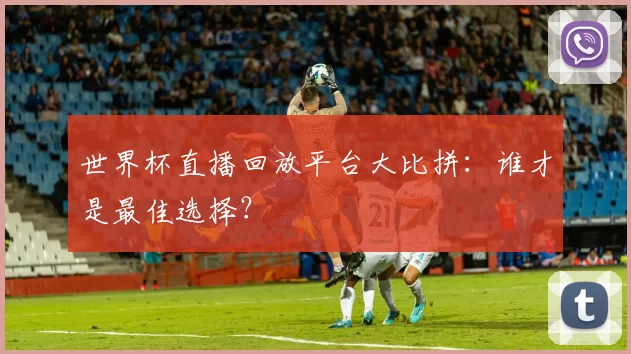 世界杯直播回放平台大比拼：谁才是最佳选择？