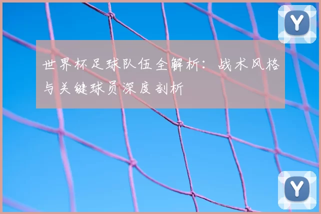 世界杯足球队伍全解析:战术风格与关键球员深度剖析