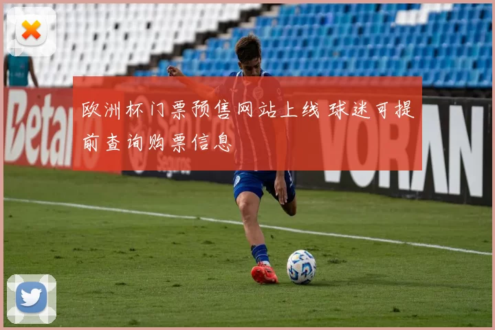 欧洲杯门票预售网站上线 球迷可提前查询购票信息