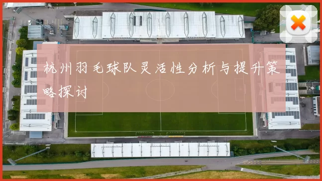 杭州羽毛球队灵活性分析与提升策略探讨