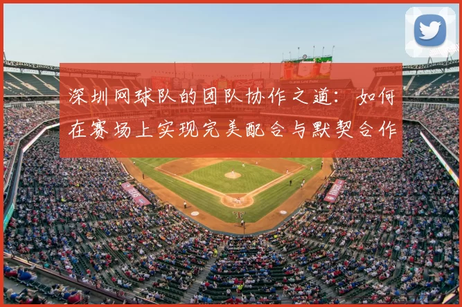 深圳网球队的团队协作之道：如何在赛场上实现完美配合与默契合作