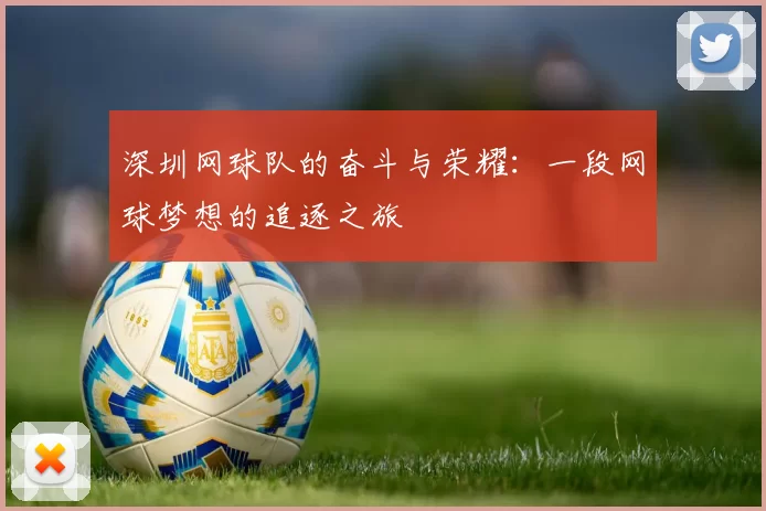 深圳网球队的奋斗与荣耀：一段网球梦想的追逐之旅