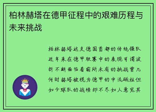 柏林赫塔在德甲征程中的艰难历程与未来挑战