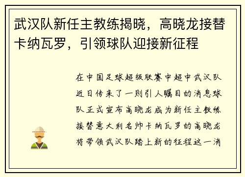 武汉队新任主教练揭晓，高晓龙接替卡纳瓦罗，引领球队迎接新征程