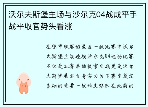 沃尔夫斯堡主场与沙尔克04战成平手战平收官势头看涨